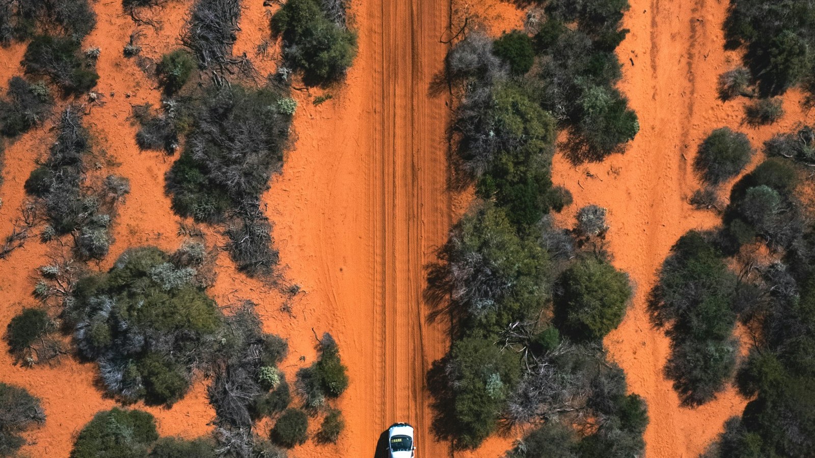 赤土の道を走る車を上空から見た様子